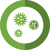 Mold Inspection Pros