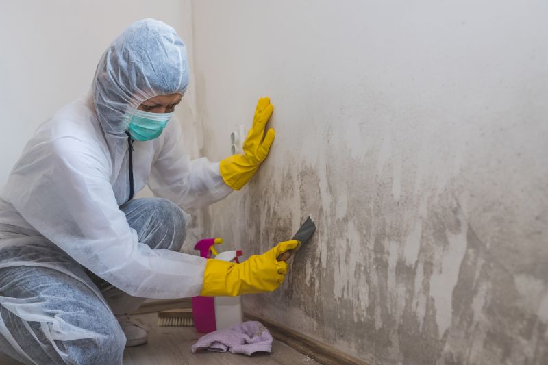 Basement Mold Removal in Bergen County, NJ