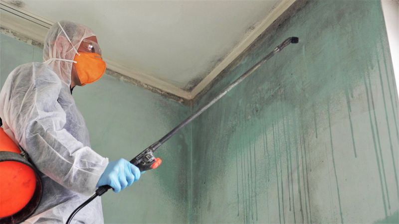Crawl Space Mold Removal in Boca Raton, FL