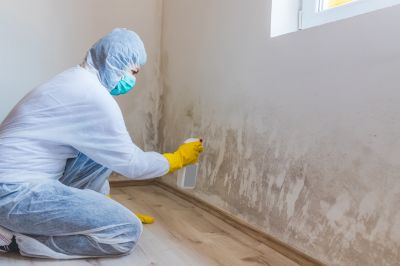 Crawlspace Mold Remediation in Fort Worth, TX