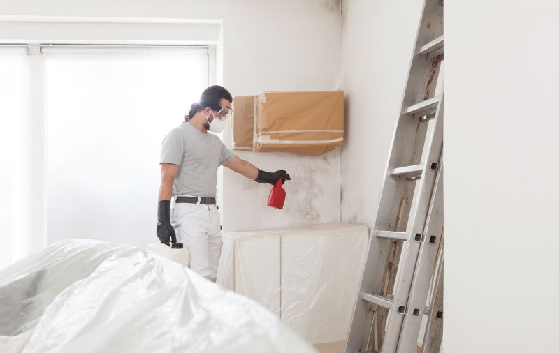 Garage Mold Remediation in Fort Worth, TX