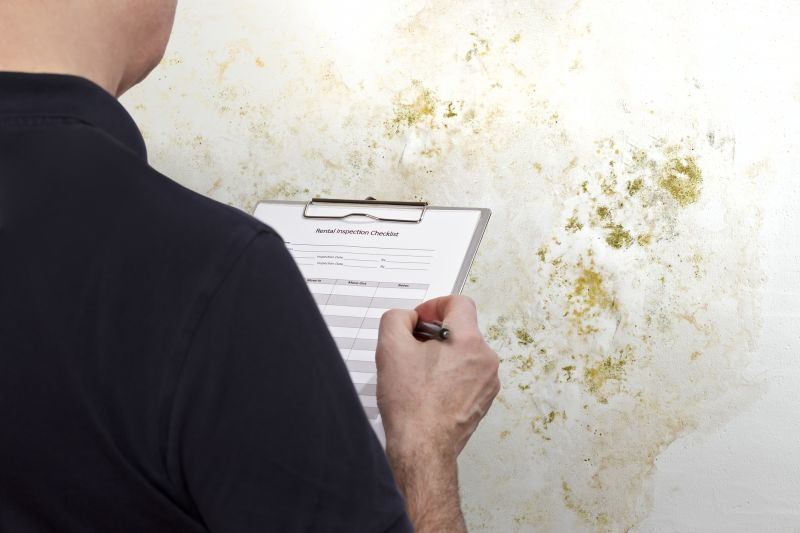 Mold Inspection