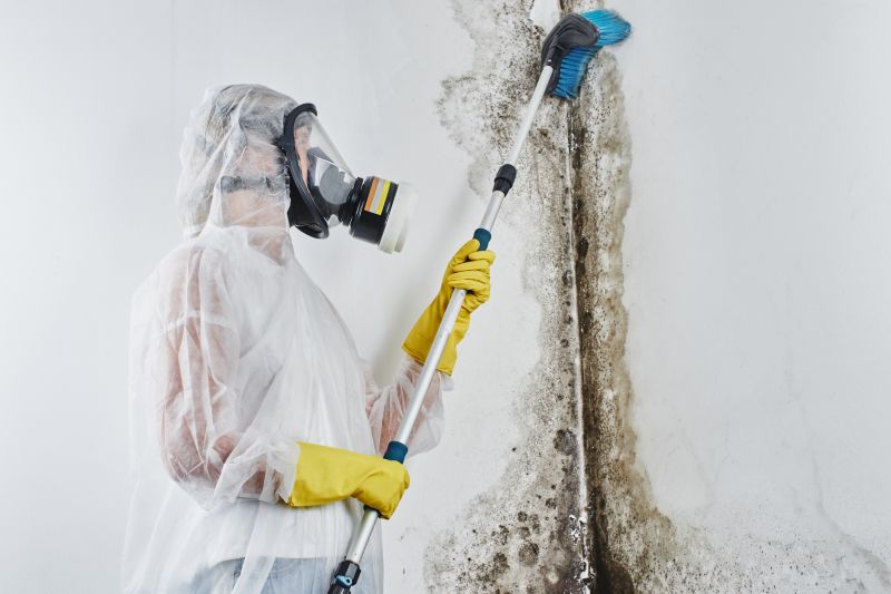 Mold Mitigation Service in Jupiter, FL