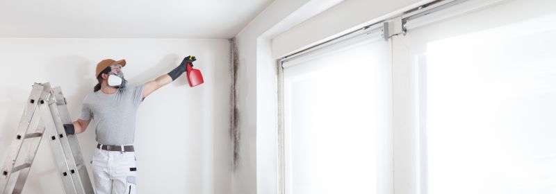 Mold Remediation Service in Frisco, TX
