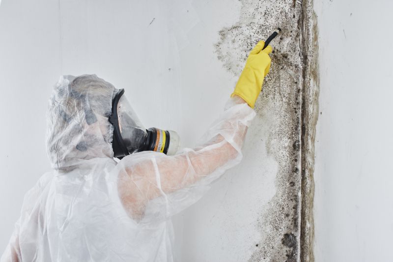 Mold Removal Action