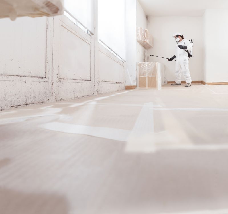 Mold Treatment Service in Dallas, TX