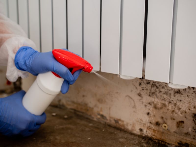 Mold Treatment Service in Dallas, TX