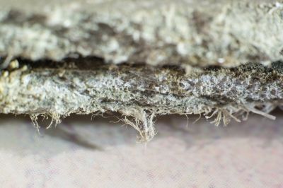 Vermiculite Remediation in Old Bridge, NJ