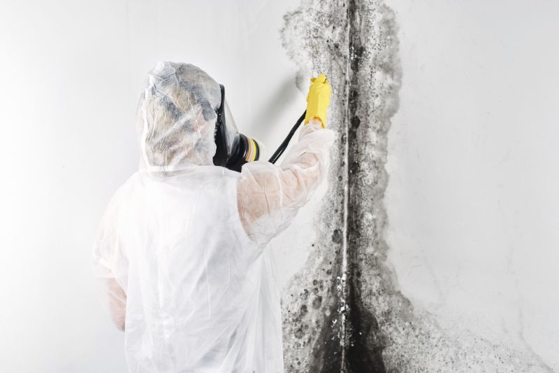 Air Duct Mold Removal in Frisco, TX