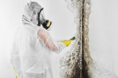 Attic Mold Removal in Boca Raton, FL