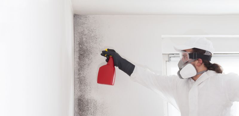White Mold Mitigation in Jupiter, FL